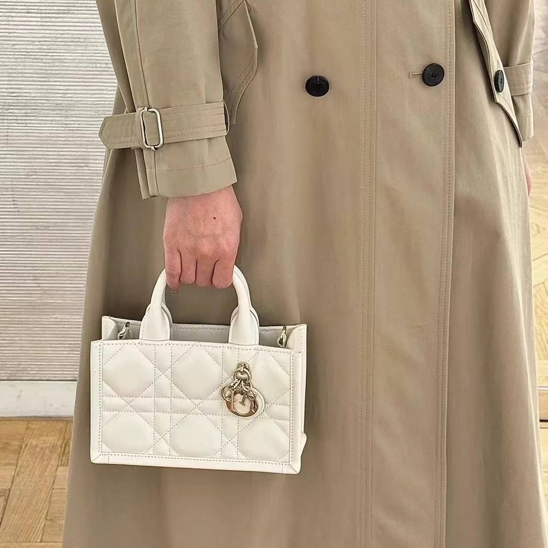 Dior Mini Book Tote