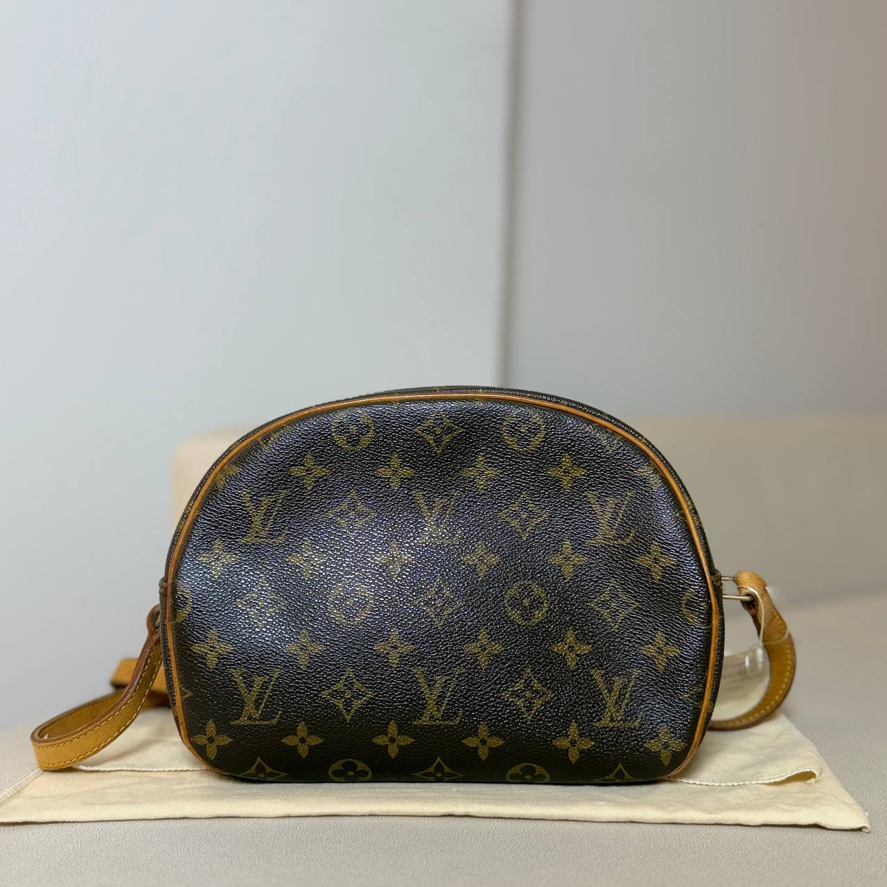 LV Blois Shoulder Bag