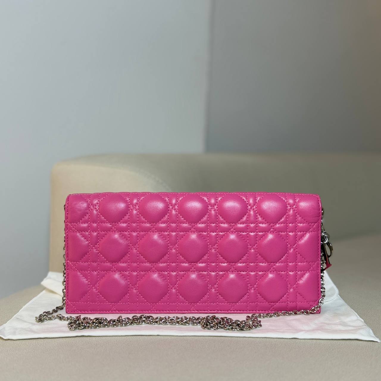 Dior Lady Dior Clutch on Chain