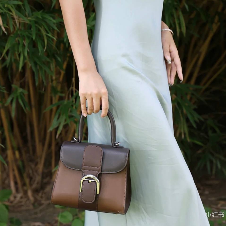 Delvaux Brillant Mini