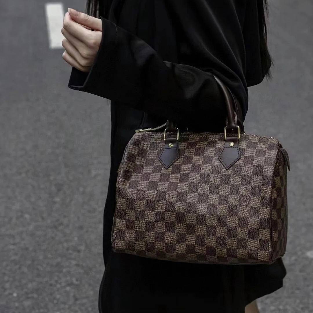 LV Speedy 25 Damier Ebene