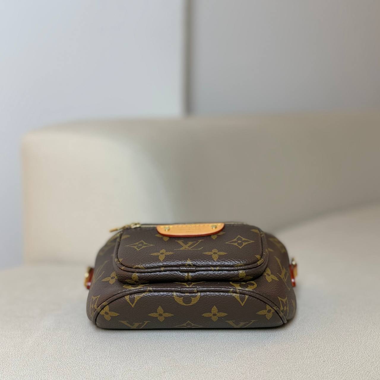 LV Mini Bumbag
