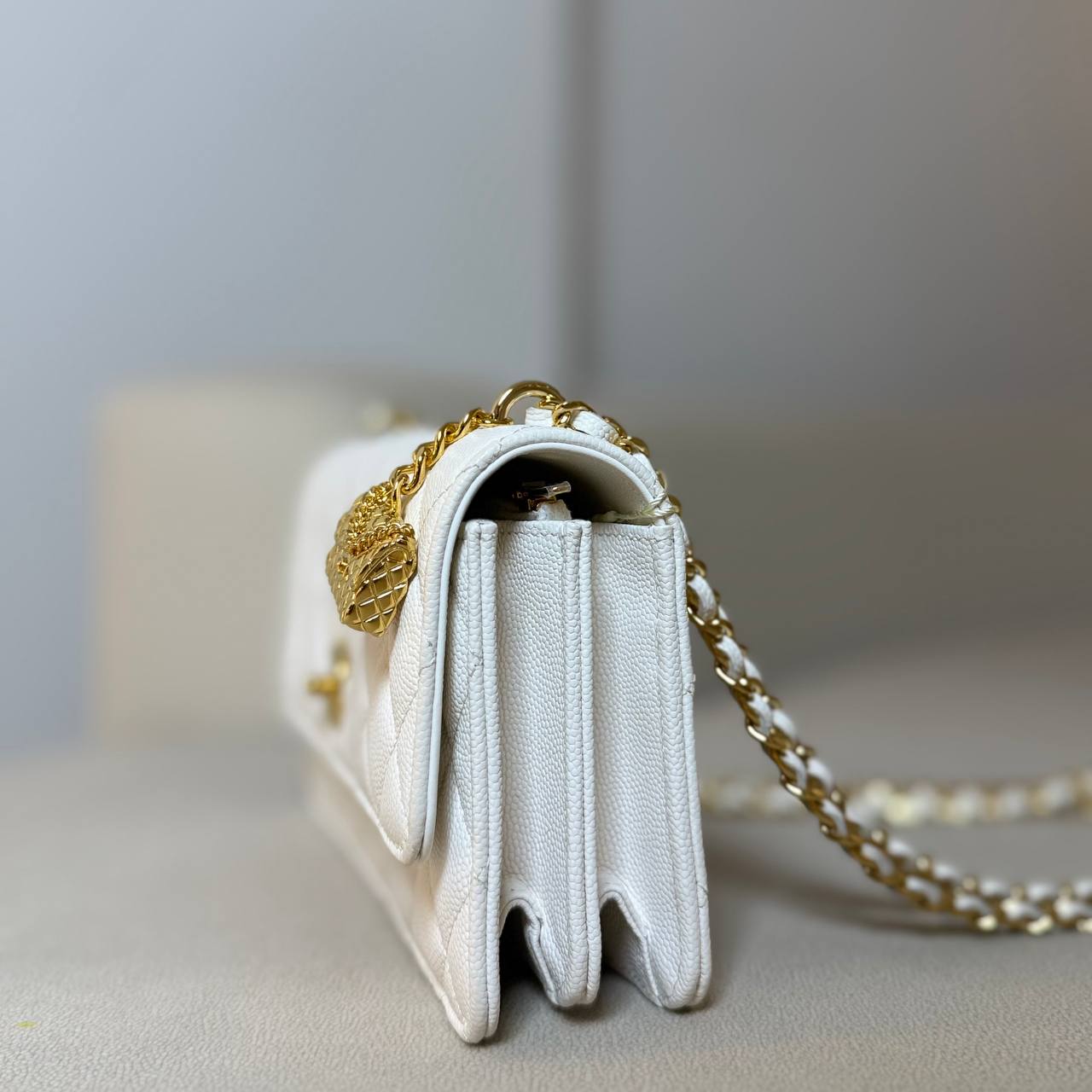 Chanel 23S WOC