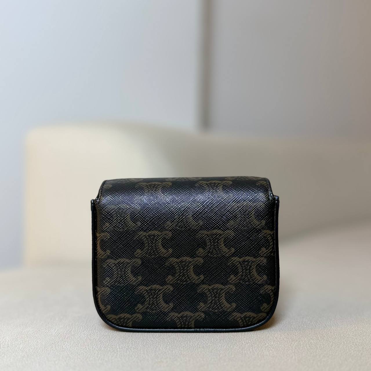 Celine Mini Claude in Triomphe Canvas