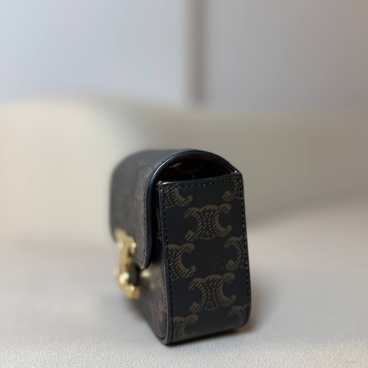 Celine Mini Claude in Triomphe Canvas