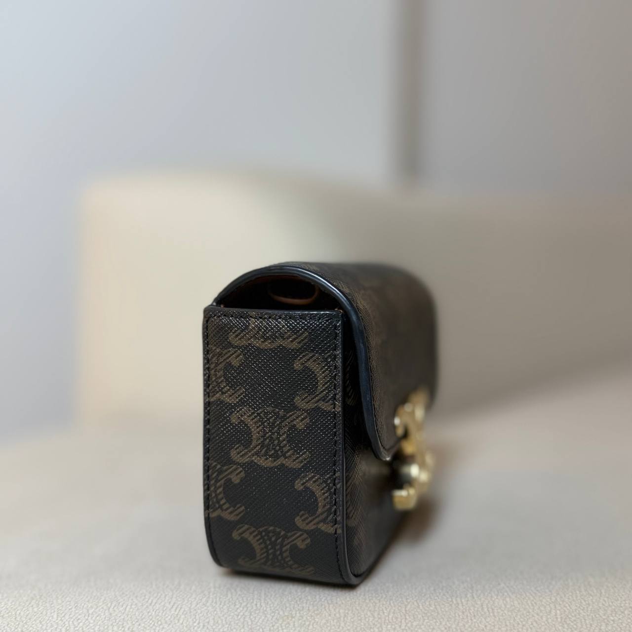 Celine Mini Claude in Triomphe Canvas