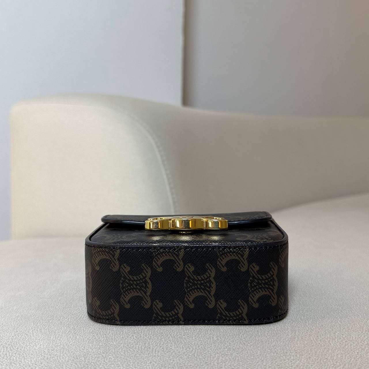 Celine Mini Claude in Triomphe Canvas