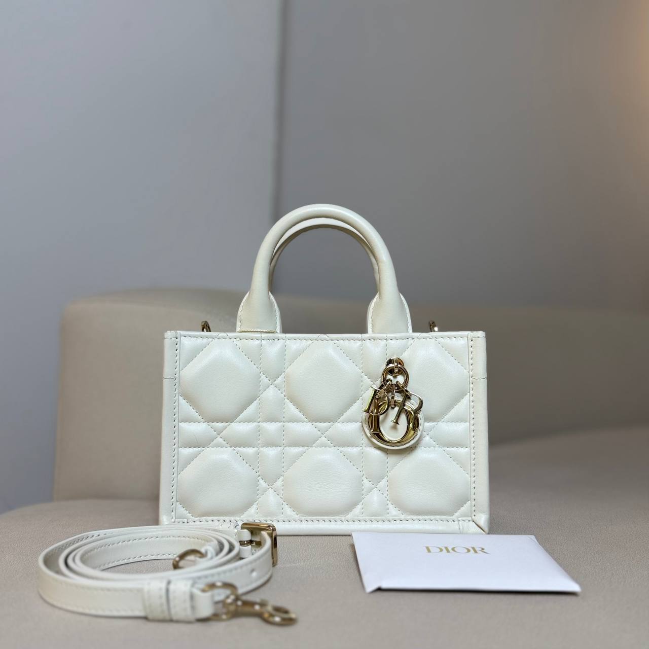 Dior Mini Book Tote