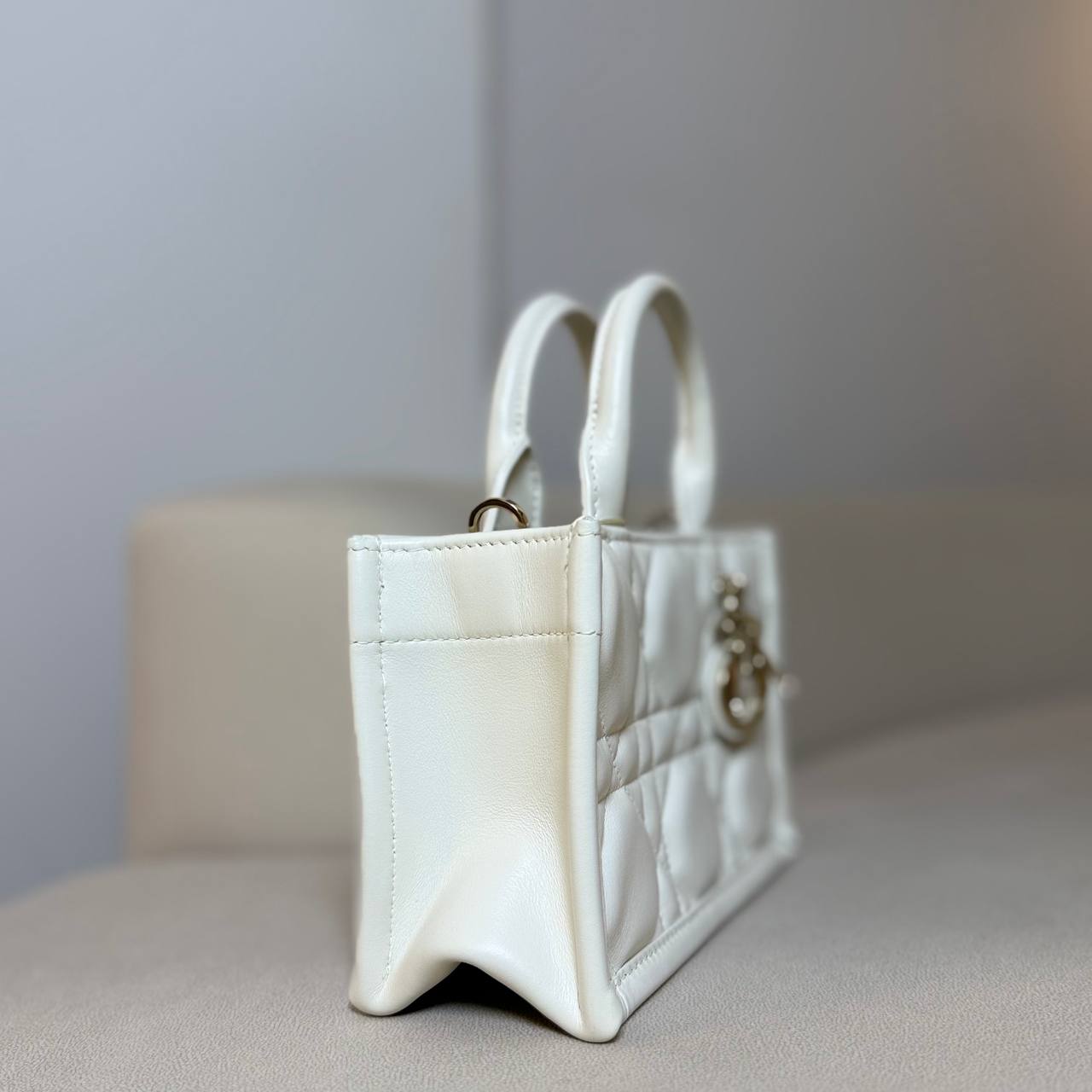 Dior Mini Book Tote