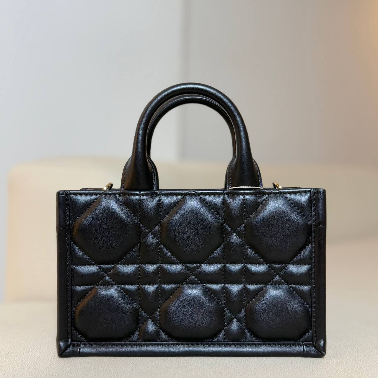 Dior Mini Book Tote