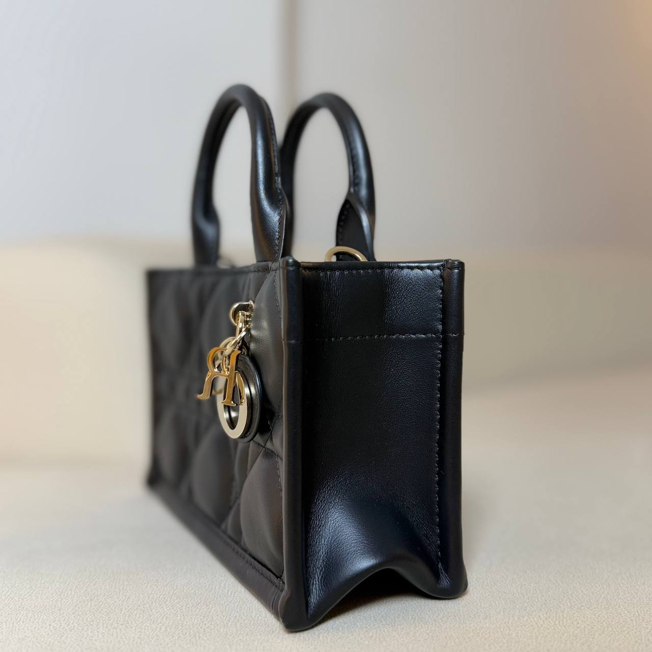 Dior Mini Book Tote