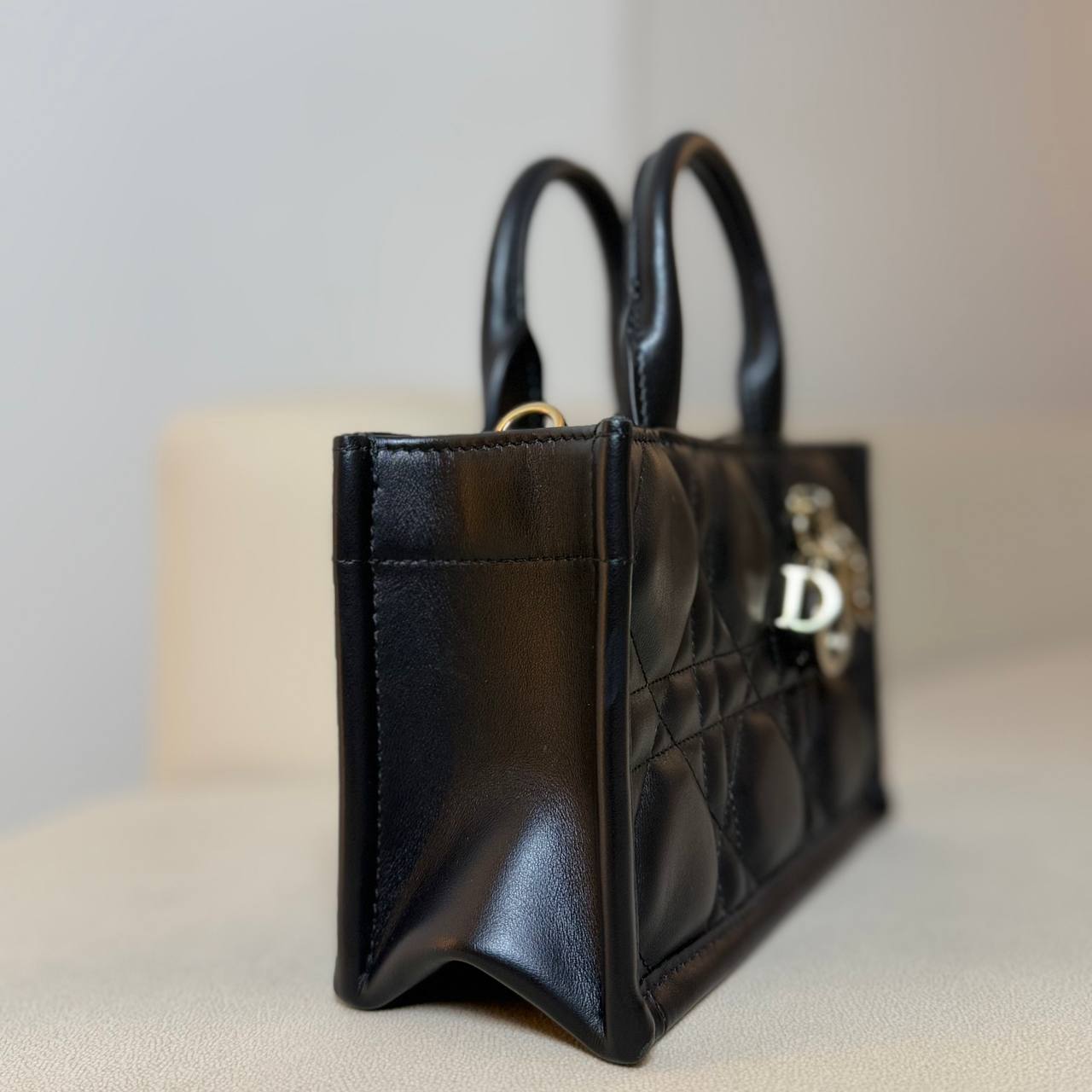 Dior Mini Book Tote