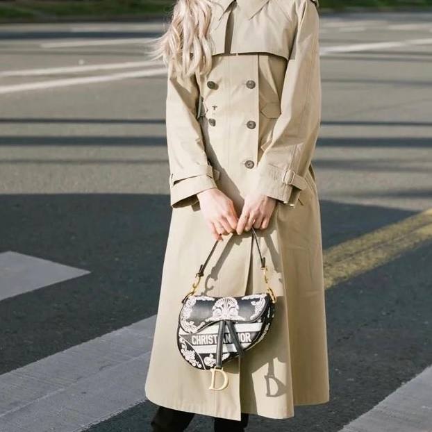 Dior Saddle Limited Edition