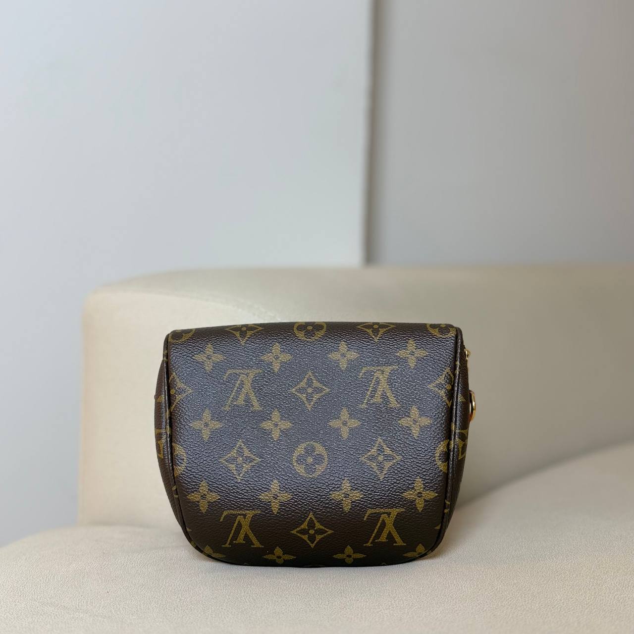 LV Mini Bumbag