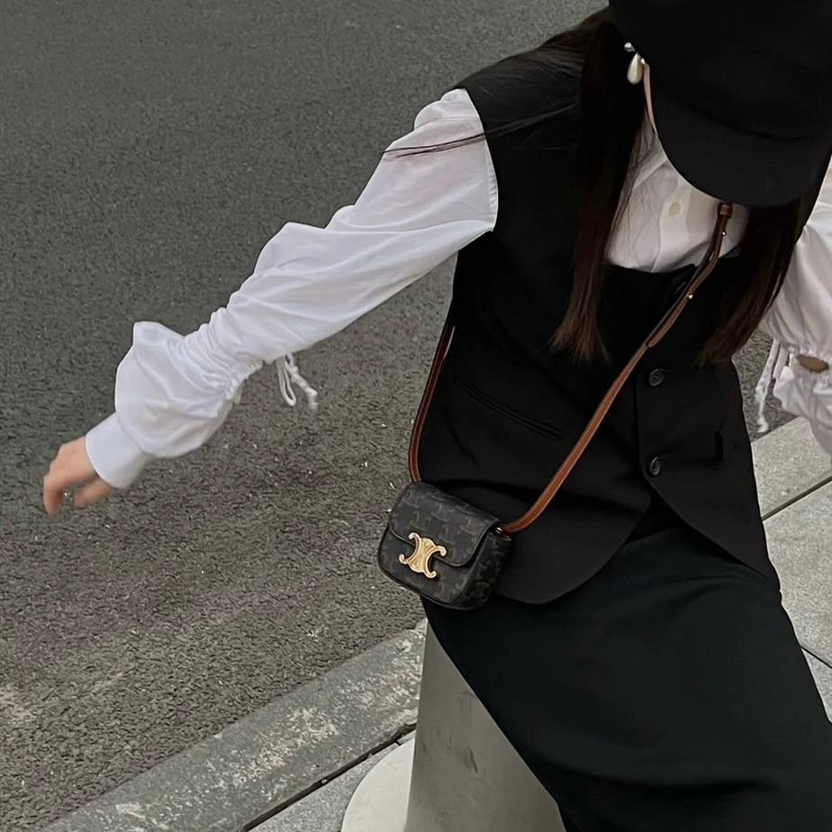 Celine Mini Claude in Triomphe Canvas